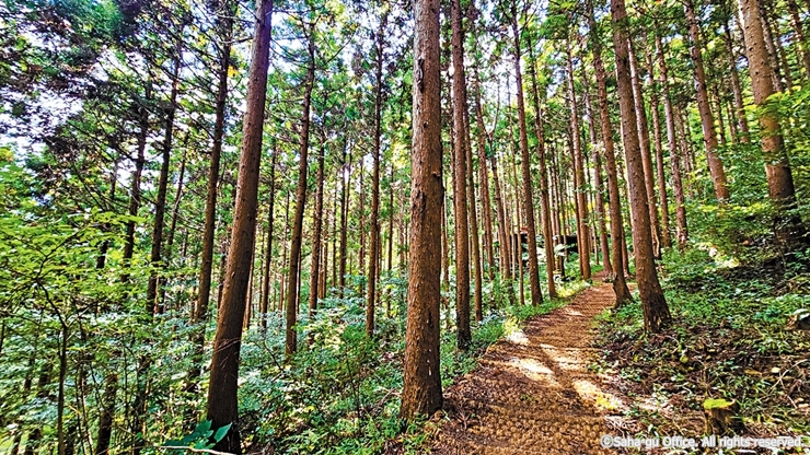 4-5-4 승학산 치유의 숲길_사하구청_cw12